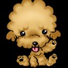 Toru Kawana avatar