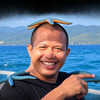 Muhamad Syamsul Hadi avatar